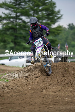 ap-hemonds6-6-26-11