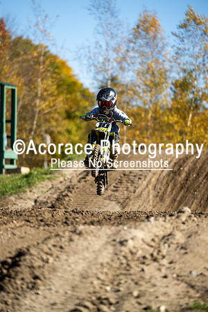 MX207-10-18-26-209
