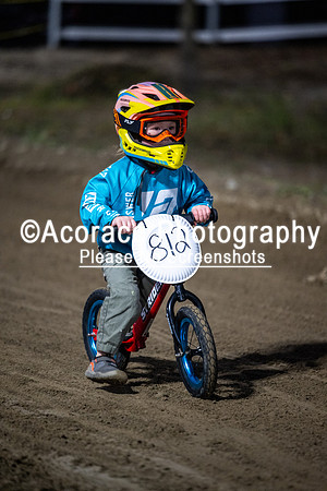 LittleLegends102426-28
