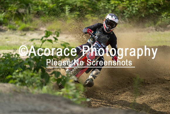 ap1-109